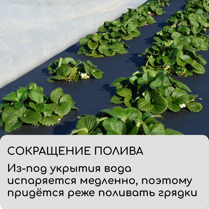 Материал мульчирующий, 10 × 3,2 м, плотность 60 г/м², спанбонд с УФ-стабилизатором, чёрный, Greengo, Эконом 30% Материал мульчирующий, 10 × 3,2 м, плотность 60 г/м², спанбонд с УФ-стабилизатором, чёрный, Greengo, Эконом 30%