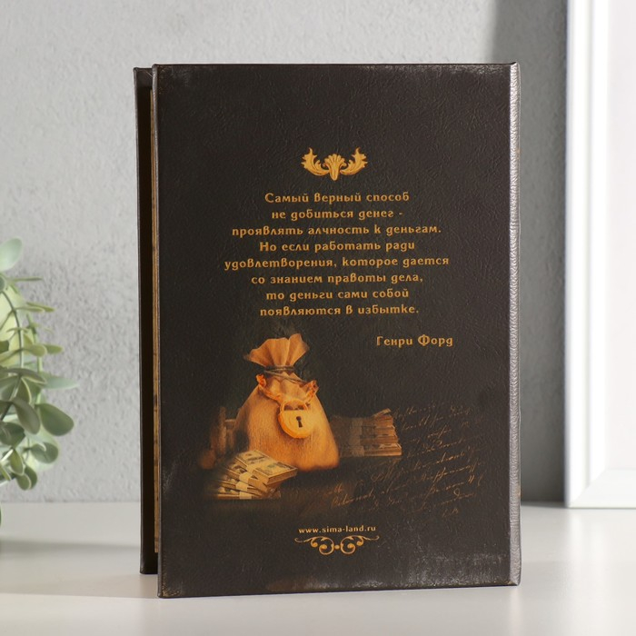 Сейф-книга "Доходы и сверхдоходы" 22х16х7 см