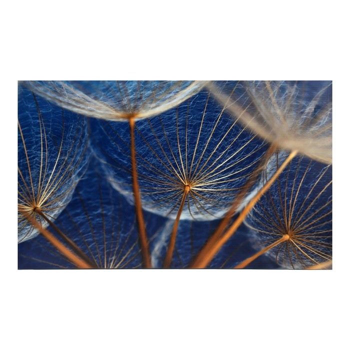 Картина "Легкость" 60*100 см