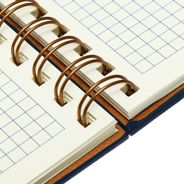 Органайзер на гребне, А5, 80л, клетка, обл.кожзам, с хлястиком, синий Органайзер на гребне, А5, 80л, клетка, обл.кожзам, с хлястиком, синий