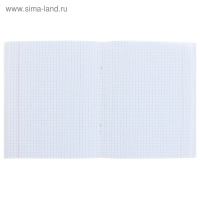 Тетрадь 96 листов в клетку Calligrata "Неон", обложка мелованный картон, блок офсет, МИКС Тетрадь 96 листов в клетку Calligrata "Неон", обложка мелованный картон, блок офсет, МИКС