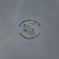 Салатник фарфоровый &laquo;Акварель&raquo;, 1 л, цвет светло-серый