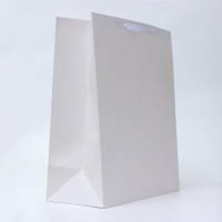 Пакет ламинированный вертикальный "Белый", XL 40 × 49 × 19 см Пакет ламинированный вертикальный "Белый", XL 40 × 49 × 19 см