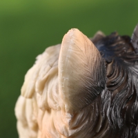 Садовая фигура "Терьер" 9х12х19см Садовая фигура "Терьер" 9х12х19см