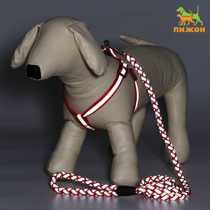 Комплект "Плетенка", флуоресцентный, поводок 115 х 1 см, ОГ 32-48 х 1,5 см, красный