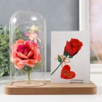 Фоторамка 9х13 см свет "Розовая роза в колбе" от батареек 2хLR1130 9,8х19,5х18 см Фоторамка 9х13 см свет "Розовая роза в колбе" от батареек 2хLR1130 9,8х19,5х18 см