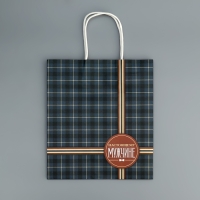 Пакет подарочный крафтовый, упаковка, &laquo;Клетка&raquo;, 22 х 25 х 12 см