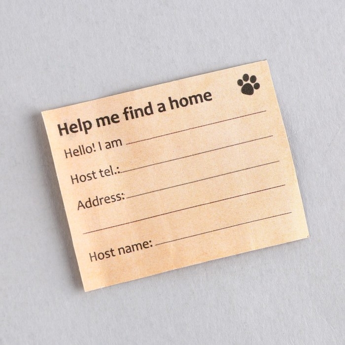 Адресник &laquo;Моё чудо&raquo; для вложения записки, капсула 5.2х1.4 см