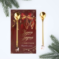 Ложка столовая с акриловым подвесом «Чудеса рядом», нержавеющая сталь, 14. 8 х 2.7 см Ложка столовая с акриловым подвесом «Чудеса рядом», нержавеющая сталь, 14. 8 х 2.7 см