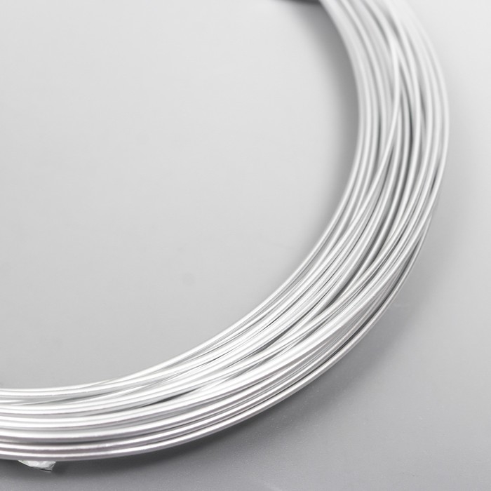 Проволока для творчества d 1мм, серебро рул.10 м Проволока для творчества d 1мм, серебро рул.10 м