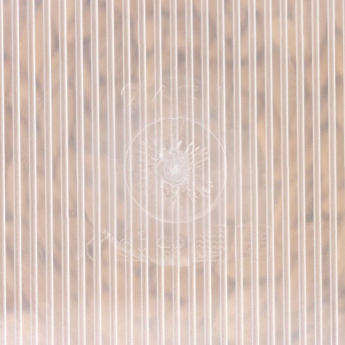 Контейнер пищевой RICCO, 2,65 л, 21,5&times;21,5&times;10 см, квадрат, цвет прозрачный, крышка голубая