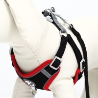 Комплект Sport+, L, поводок 120 х 1,5 см, ОШ 49-56 см, ОГ 56-68 см, вес животного 20-28 кг, чёрный