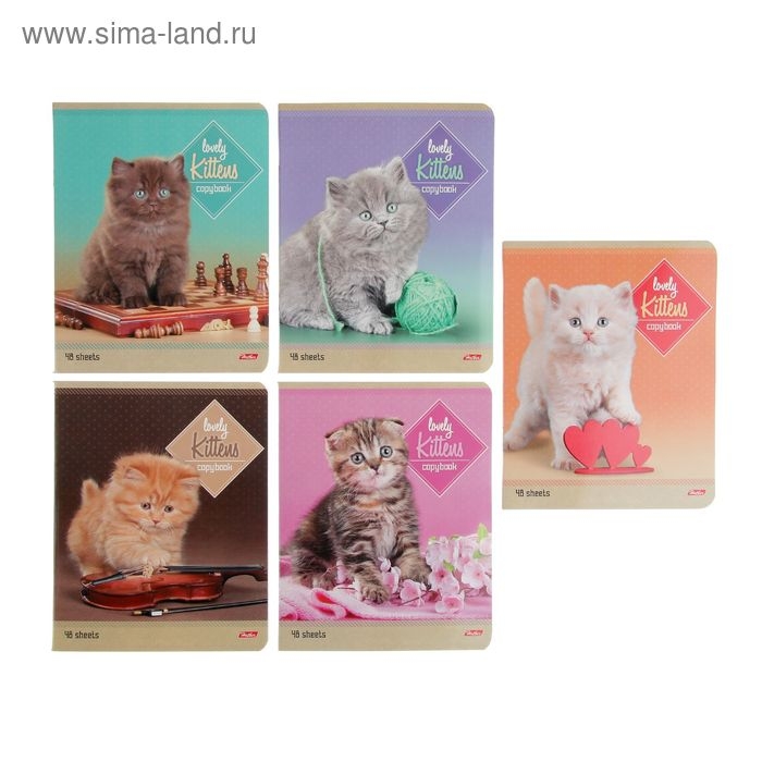 Тетрадь 48 листов линейка Тетрадь 48 листов линейка "Котята", МИКС