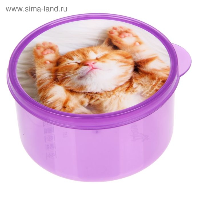 Ланч-бокс круглый FoodVibes &laquo;Котёнок&raquo;, 500 мл