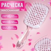 Расчёска массажная, широкая, вентилируемая, 8,5 × 20,5 см, PVC коробка, цвет прозрачный Расчёска массажная, широкая, вентилируемая, 8,5 × 20,5 см, PVC коробка, цвет прозрачный