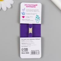 Растущие подарочные карандаши mini Я люблю лаванду "Лаванда"