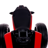 Электромотоцикл М1200, EVA колёса, кожаное сидение, 2 мотора, цвет красный Электромотоцикл М1200, EVA колёса, кожаное сидение, 2 мотора, цвет красный