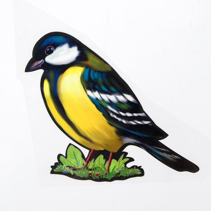 Термотрансфер &laquo;Синица&raquo;, 15 х 13,5 см, набор 10 шт.