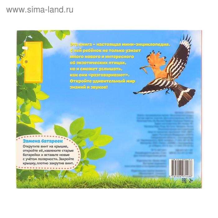 Музыкальная книга «Экзотические птицы», 12 стр. Музыкальная книга «Экзотические птицы», 12 стр.