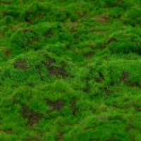 Мох искусственный, декоративный, полотно 1 &times; 1 м, рельефный, камни, Greengo