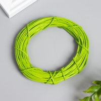 Кольцо ротанг для изготовления ловца снов "Зелёный" d=10 см Кольцо ротанг для изготовления ловца снов "Зелёный" d=10 см