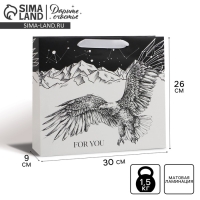 Пакет подарочный ламинированный горизонтальный, упаковка, &laquo;Орёл&raquo;, M 25.5 х 30 х 9 см