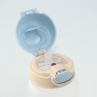 Бутылка для воды стеклянная &laquo;Космонавты&raquo;, 450 мл, 8,2&times;15 см, цвет МИКС, матовое стекло