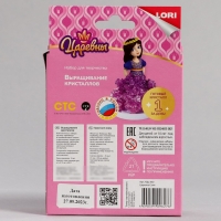 Выращивание кристаллов. Царевны &laquo;Царевна Соня&raquo; фиолетовый кристалл