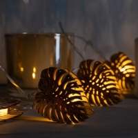 Гирлянда &laquo;Нить&raquo; 2.5 м с насадками &laquo;Листочек&raquo;, IP20, прозрачная нить, 10 LED, батарейки AAх2 (нет в комплекте), свечение тёплое белое