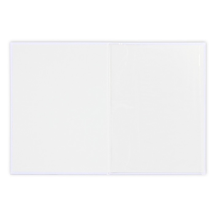 Папка для свидетельства о заключении брака &laquo;Самый важный день&raquo;, А4.