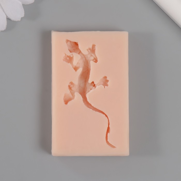 Молд силиконовый Молд силиконовый "Ящерица" 5,7х3 см МИКС