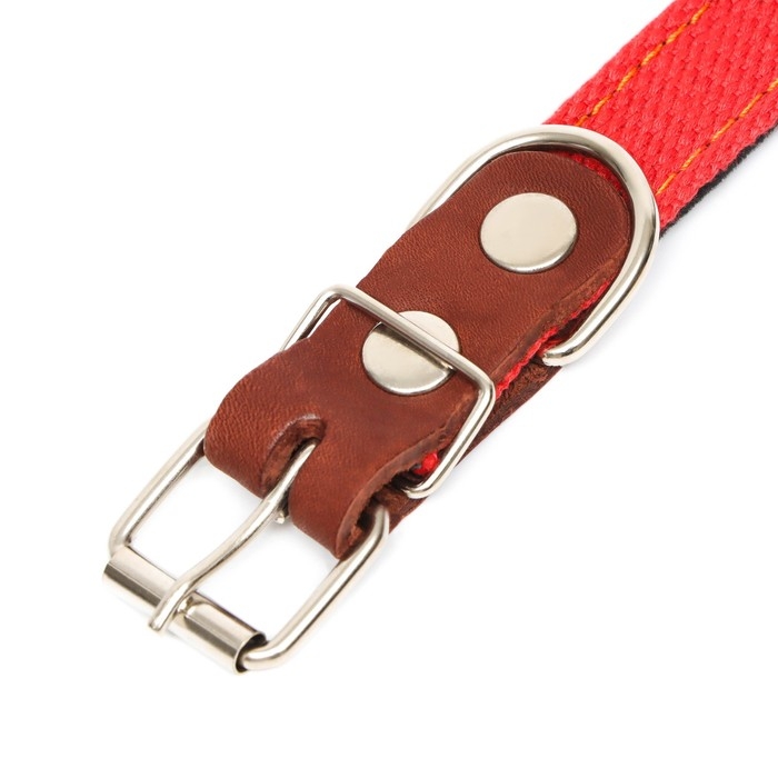 Ошейник брезентовый с подкладом, 57 х 2,5 см, ОШ 35-45 см, красный Ошейник брезентовый с подкладом, 57 х 2,5 см, ОШ 35-45 см, красный