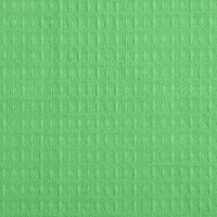 Набор полотенец Доляна цв. светло-зелёный, 40х60 см - 2 шт, 100% хл, вафля 170 г/м2