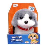 Интерактивная игрушка «Милый питомец», МИКС Интерактивная игрушка «Милый питомец», МИКС