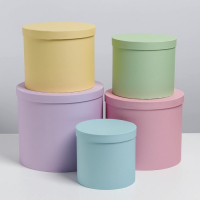 Набор коробок 5 в 1, упаковка подарочная, &laquo;Пастельный&raquo;, 13 х 13,5‒19.5 х 23 см