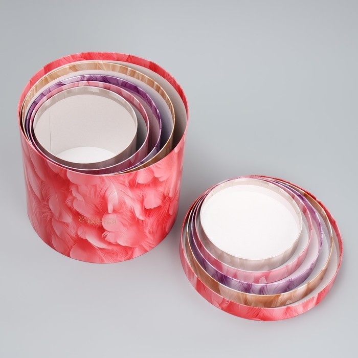 Набор шляпных коробок 5 в 1, упаковка подарочная, «Перья», 13 х 14 ‒ 19.5 х 22 см Набор шляпных коробок 5 в 1, упаковка подарочная, «Перья», 13 х 14 ‒ 19.5 х 22 см