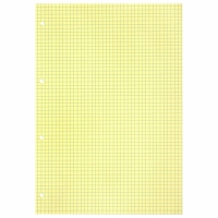 Сменный блок д/тетради на кольцах А4 120л, BRAUBERG, клетка, 4цв*30л 404519 Сменный блок д/тетради на кольцах А4 120л, BRAUBERG, клетка, 4цв*30л 404519