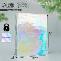 Пакет голографический «Новогодняя поляна», L 31 х 40 х 11.5 см, Новый год Пакет голографический «Новогодняя поляна», L 31 х 40 х 11.5 см, Новый год