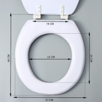 Сиденье для унитаза с крышкой Доляна &laquo;Пляж со звездой&raquo;, 40&times;37 см, мягкое