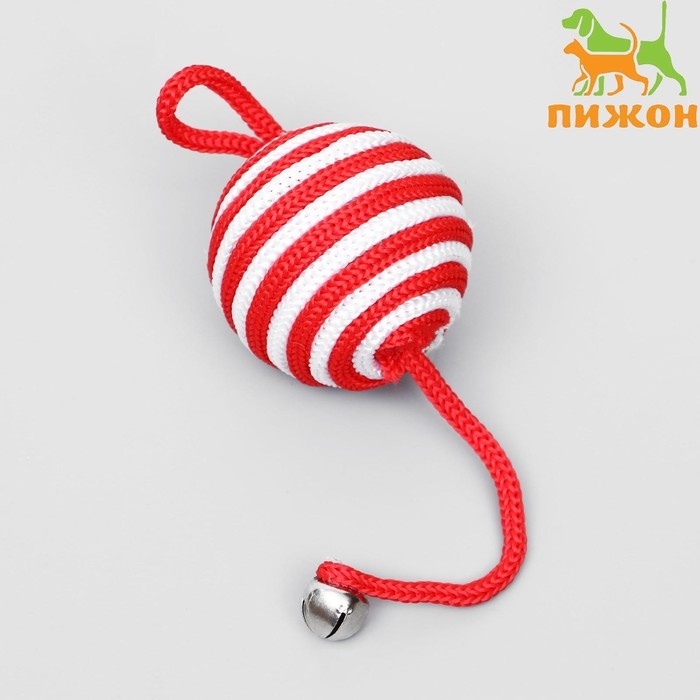 Шар-погремушка с петелькой, 5,5 см, микс цветов Шар-погремушка с петелькой, 5,5 см, микс цветов