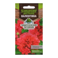 Семена цветов Петуния махровая крупноцветковая "Дабл Каскад Валентина", 10 шт Семена цветов Петуния махровая крупноцветковая "Дабл Каскад Валентина", 10 шт