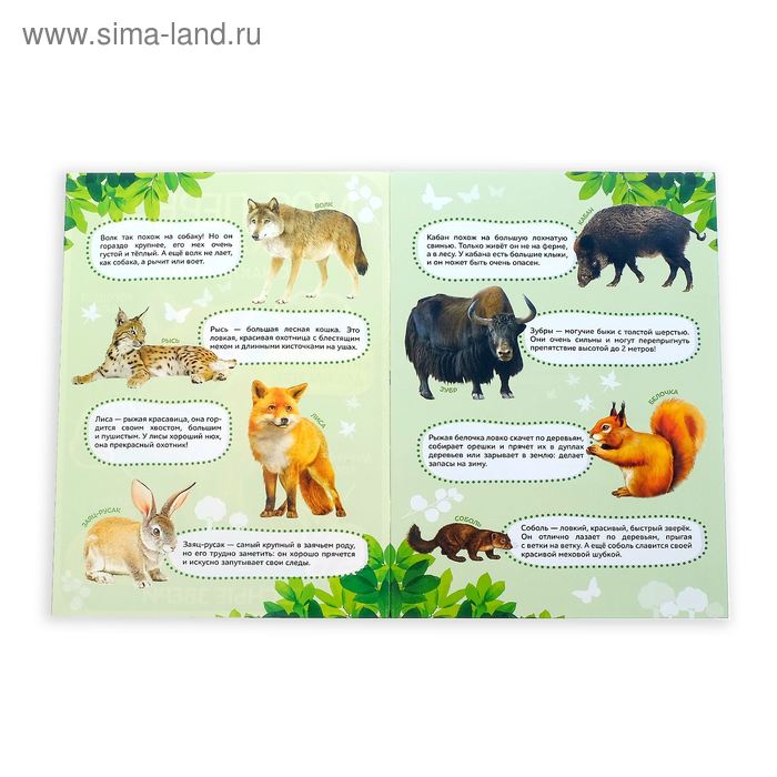Набор книг с наклейками &laquo;Первые энциклопедии малыша&raquo;, 4 шт. № 1