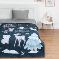Покрывало детское Этель" 1,5 сп "Winter fairytale", 145х210 см, микрофибра Покрывало детское Этель" 1,5 сп "Winter fairytale", 145х210 см, микрофибра