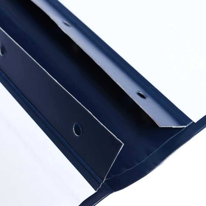 Папка архивная для переплета Calligrata Папка архивная для переплета Calligrata "Форма 21", с гребешками, 4 отверстия, с 2 завязками, 70 мм