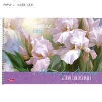 Альбом для рисования А4, 48 листов на гребне "Ассорти", обложка мелованный картон, блок 100 г/м2, перфорация на отрыв, МИКС Альбом для рисования А4, 48 листов на гребне "Ассорти", обложка мелованный картон, блок 100 г/м2, перфорация на отрыв, МИКС