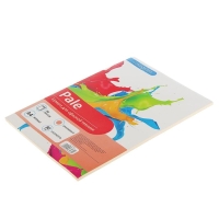 Бумага цветная А4, 50 листов Calligrata Пастель, оранжевая, 80 г/м² Бумага цветная А4, 50 листов Calligrata Пастель, оранжевая, 80 г/м²