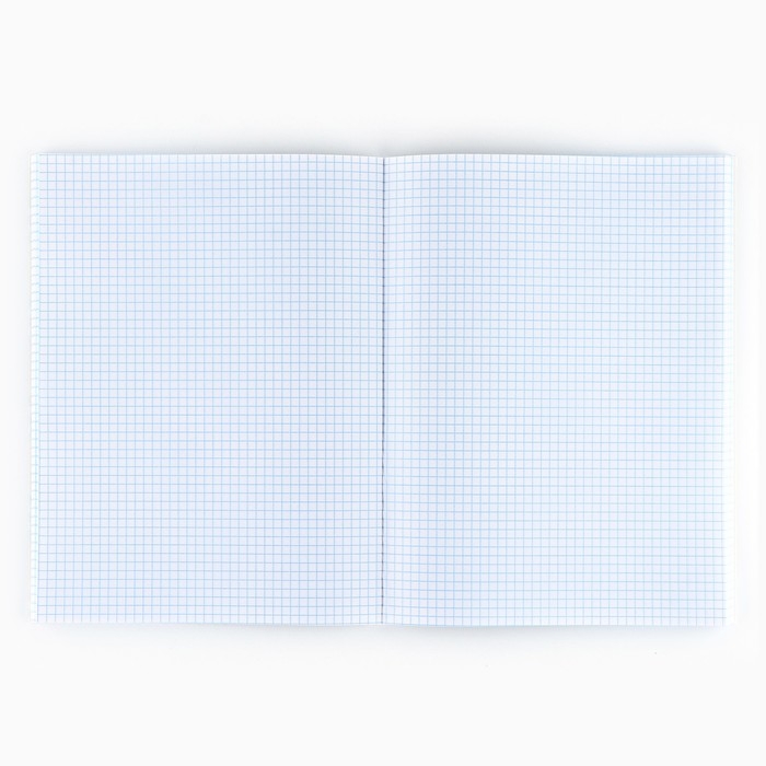 Тетрадь в клетку А4 в клетку, 96 листов на скрепке &laquo;1 сентября:Розовая текстура&raquo;