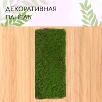 Декоративная панель, 90 &times; 40 см, &laquo;Папоротник&raquo;, Greengo