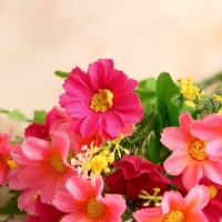 Букет "Пупавка полевая" 28 см, микс Букет "Пупавка полевая" 28 см, микс