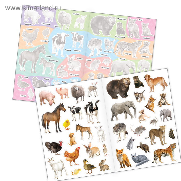 Наклейки многоразовые набор «Познавательные» №2, 3 шт., формат А4 Наклейки многоразовые набор «Познавательные» №2, 3 шт., формат А4